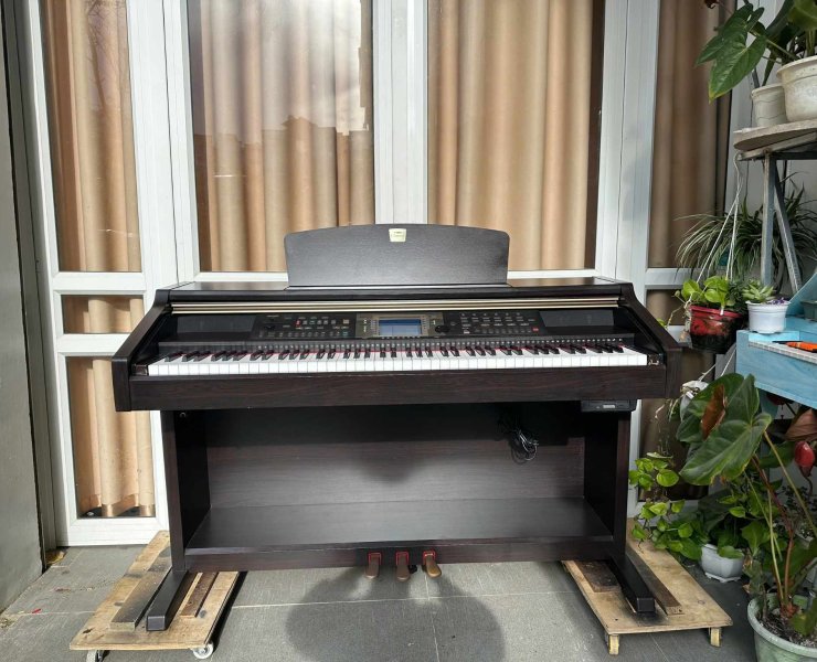 YAMAHA CVP204