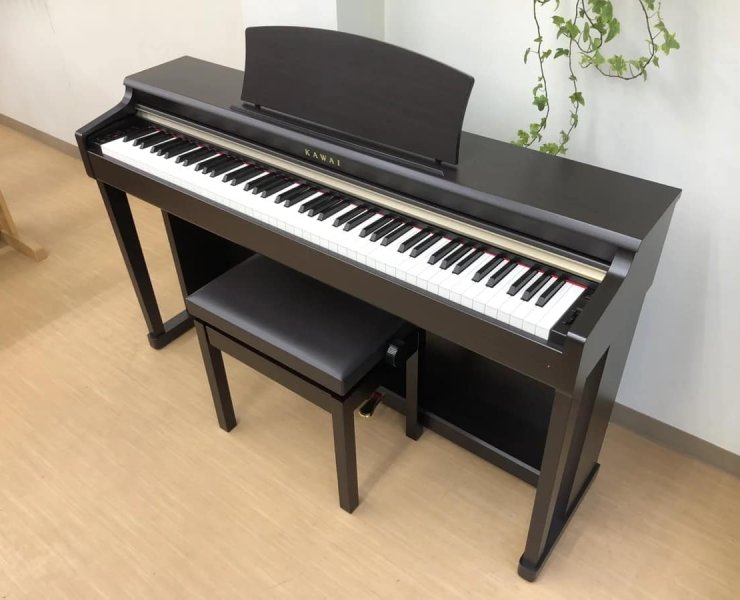 KAWAI CN24R