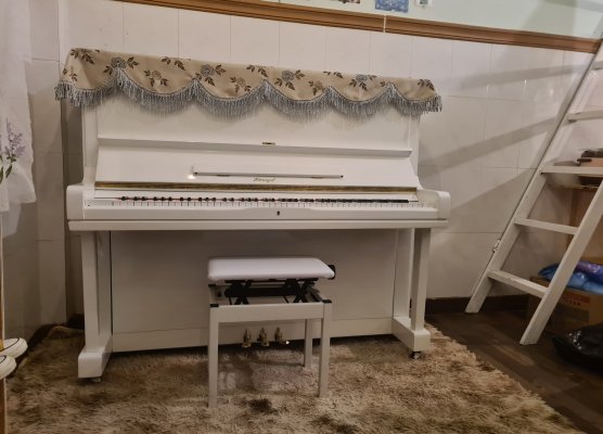 Piano cơ Horuger về Trương Nữ Vương
