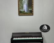 Piano điện ARIA HN-02BK