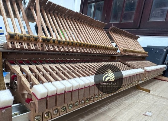 Dịch vụ sửa đàn piano An tâm & Nhanh chóng